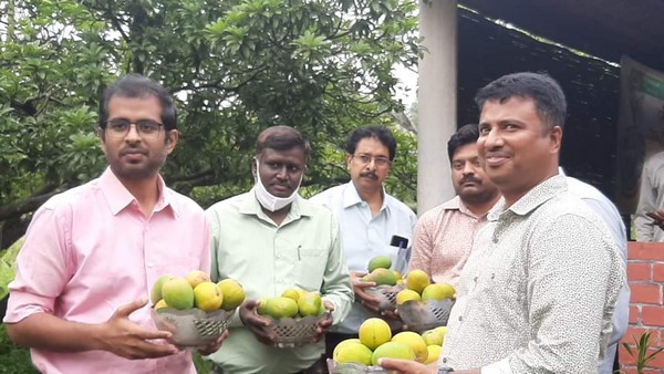 Ramanagara: 3 Days Mango Mela start from May 13 Ramanagara: 3 Days Mango Mela start from May 13