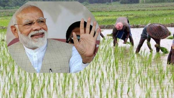 ಪಿಎಂ ಕಿಸಾನ್ ಸಮ್ಮಾನ್ ಯೋಜನೆ ಎಂದರೇನು?