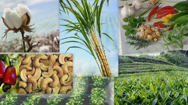 ಕೃಷಿ ಅವಲಂಬನೆ ಶೇ.60ರಷ್ಟು: