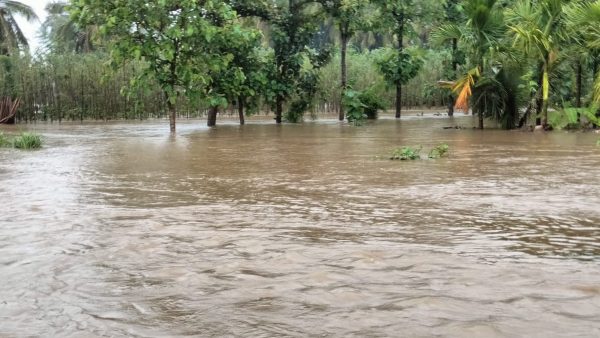 ರೈತರಿಗೆ ಬಿತ್ತನೆ ಬೀಜದ ತೊಂದರೆಯಾಗದಿರಲಿ