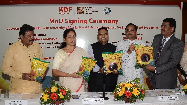 Sunflower seed production: NDDB & KOF inks MoU with University of Agricultural Sciences, Bangalore Sunflower seed production: NDDB & KOF inks MoU with University of Agricultural Sciences, Bangalore