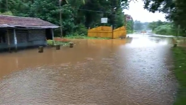 ಬಿರುಗಾಳಿ ಮಳೆಗೆ ಮನೆಮೇಲೆ ಬಿದ್ದ ಮರ