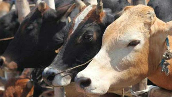 8277100200 ಅಥವಾ 1962ಕ್ಕೆ ಕರೆ ಮಾಡಿ