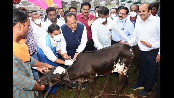 ಜಾನುವಾರುಗಳ ಸಂರಕ್ಷಣೆಯ ಉದ್ದೇಶ