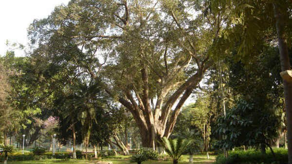 ಸಾರ್ವಜನಿಕ- ಖಾಸಗಿ ಪಾಲುದಾರಿಕೆ