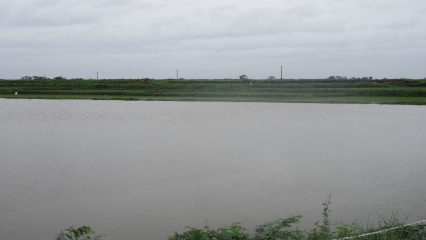 ಇಂದಿಗೂ ಭರವಸೆಯಾಗೇ ಉಳಿದಿವೆ