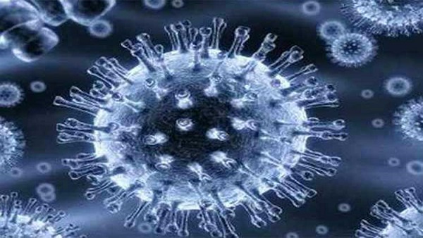 IIT Madras Researchers Develop PIVOT Tool To Diagnose Cancer IIT Madras Researchers Develop PIVOT Tool To Diagnose Cancer