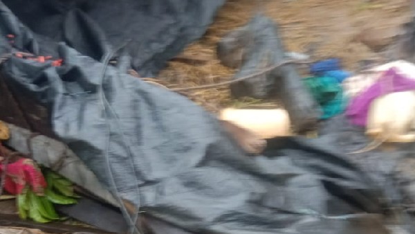 ಮಕ್ಕಳು, ಮಹಿಳೆಯರ ಪರದಾಟ