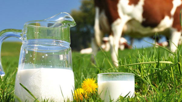 Implementation of Ksheershree portal for encouragement of dairy farmers Implementation of Ksheershree portal for encouragement of dairy farmers