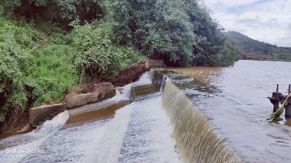 Rain Continued In Chikkamagaluru District Huge Loss Rain Continued In Chikkamagaluru District Huge Loss