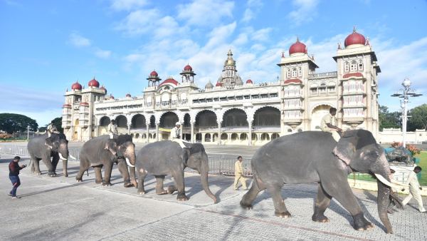 ವಿಶೇಷ ಆಹಾರದ ತಯಾರಿ ಹೇಗಿದೆ?