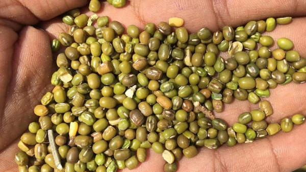ಎಂಎಸ್ಪಿ ನಿರ್ಧರಿಸುವ ಅಧಿಕಾರ ಕೇಂದ್ರಕ್ಕೆ ಇದೆ