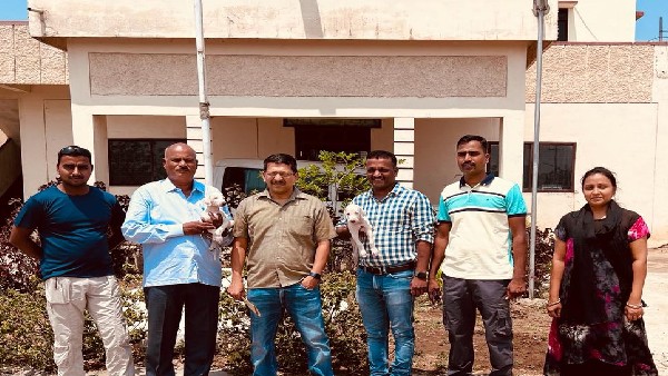 ಶಿವಾಜಿ ಸೇನೆಯಲ್ಲೂ ಇತ್ತು ಮುಧೋಳ ಶ್ವಾನ
