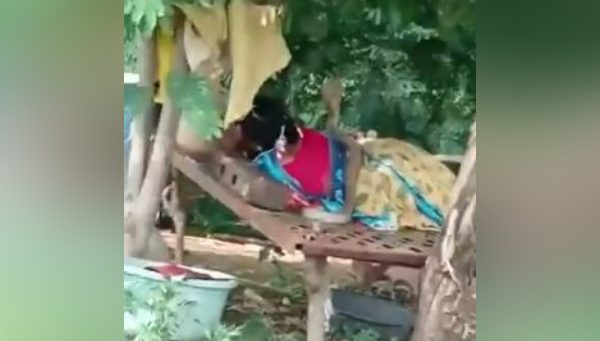 Video: Cobra on woman resting in farm Video: Cobra on woman resting in farm