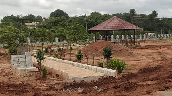 ರೈತರ ಮುಖದಲ್ಲಿ ಹರ್ಷ ತರಿಸಿದ ಮಳೆ