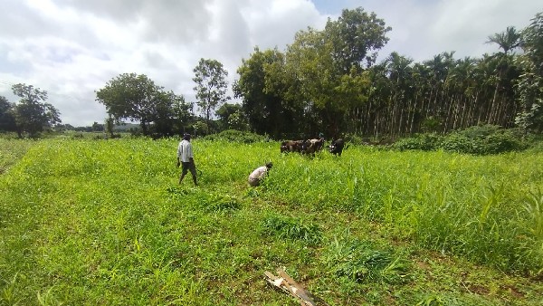ಜಿಲ್ಲೆಗೆ ಬರುವ ಪ್ರವಾಸಿಗರ ಸಂಖ್ಯೆ ಇಳಿಕೆ