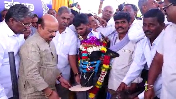 ಸಾವನ್ನಪಿದ್ದ ಎತ್ತು , ಹಸುಗಳಿಗೆ ಪರಿಹಾರ ಎಷ್ಟು?