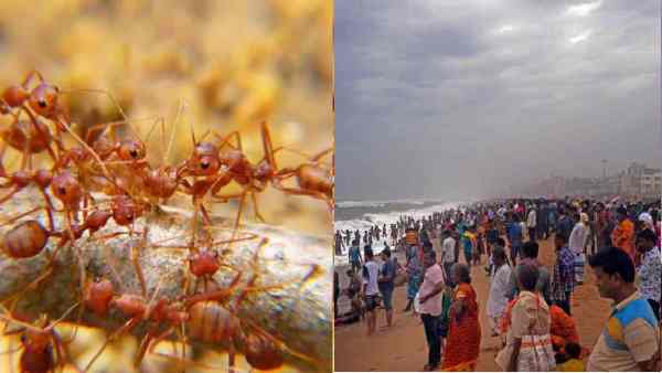 ಗ್ರಾಮವನ್ನು ತೊರೆದ ಅನೇಕ ಕುಟುಂಬಗಳು