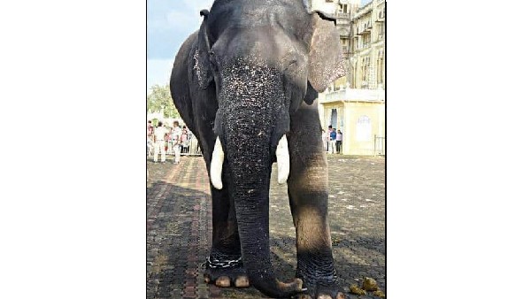 ಕೊಡಗಿನ ಸುಗ್ರೀವ