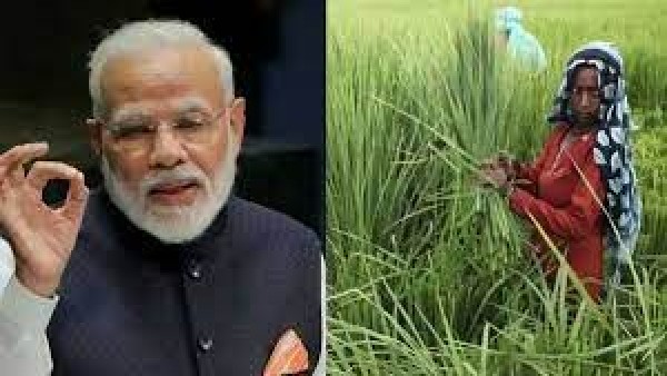 ಪಿಎಂ ಕಿಸಾನ್ 12ನೇ ಕಂತಿನ ಹಣ ಯಾವಾಗ ಬರುತ್ತದೆ?