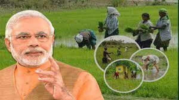 ಪಿಎಂ ಕಿಸಾನ್ ಪಾವತಿಯನ್ನು ಹೀಗೆ ಪರಿಶೀಲಿಸಿ