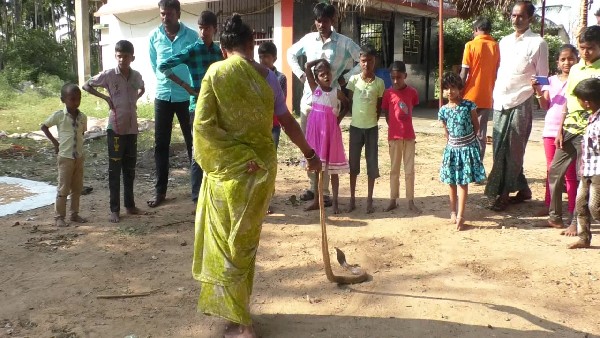 ಒಂದೇ ಸ್ಥಳದಲ್ಲಿರುವ ನಾಲ್ಕು ಮರಗಳು