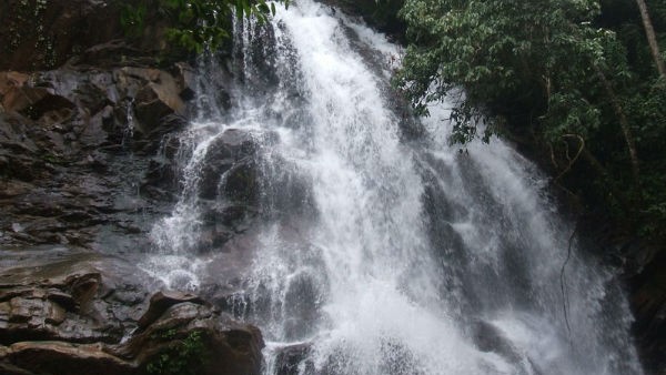 ಸಿರಿಮನೆ ಜಲಪಾತ ಪ್ರವಾಸಿಗರ ಹಾಟ್ಸ್ಪಾರ್