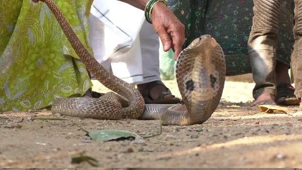 ದೇವಸ್ಥಾನದಲ್ಲಿ ತೀರ್ಥ ಕುಡಿದರೆ ಗುಣಮುಖ