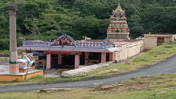 ಪ್ರಕೃತಿ ಸೌಂದರ್ಯಕ್ಕೆ ಮನಸೋತ ಮಲ್ಲಿಕಾರ್ಜುನ