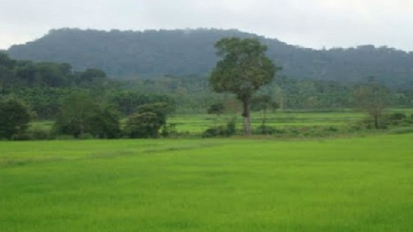 ಹಸಿರಿನಿಂದ ಸುತ್ತುವರಿದ ಸುಂದರ ವಾತಾವರಣ