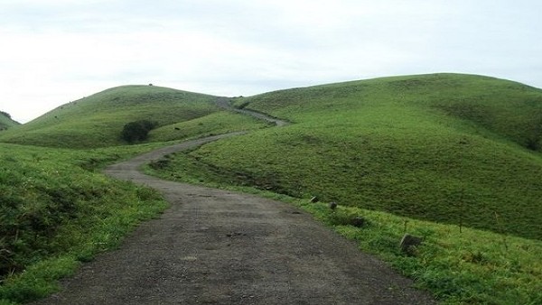 ಅಲೆಅಲೆಯಾಗಿ ತೇಲಿ ಬರುವ ಮಂಜು