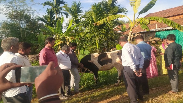 ರೋಗ ಹರಡದಂತೆ ವಾಶಿಂಗ್ ಸೋಡ ಸಿಂಪಡಣೆ