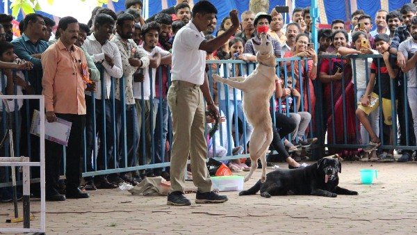 ಪೊಲೀಸ್ ಶ್ವಾನಗಳು ಏನೇಲ್ಲಾ ಪ್ರದರ್ಶನ ನೀಡಿದವು ಗೊತ್ತೇ?