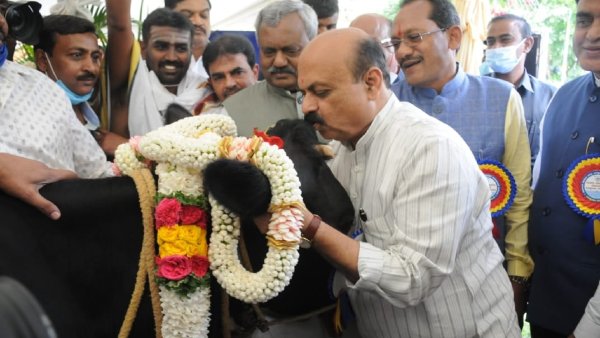 ನವೆಂಬರ್ನ ವೇತನದಲ್ಲಿ ಕಡಿತ