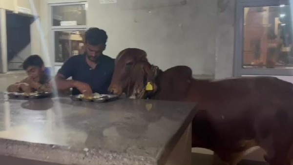 ವಾರಾಂತ್ಯದಲ್ಲಿ ನೆಟ್ವರ್ಕ್ ಇಲ್ಲದ ಊರುಗಳು ಶ್ರೇಯಾಂಸ್ ಆಯ್ಕೆ