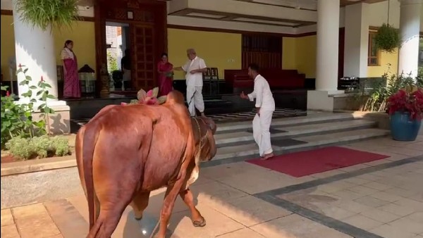 ಮೂಗುದಾರ, ಹಗ್ಗ ಇಲ್ಲದೆ ಹಿಂಬಾಲಿಸಿದ ಭೀಷ್ಮ