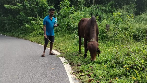 ಪಾದಯಾತ್ರೆ ವೇಳೆ ಭೀಷ್ಮ ರಸ್ತೆಯ ಮಧ್ಯೆ ಮಲಗಿದ್ಯಾಕೆ