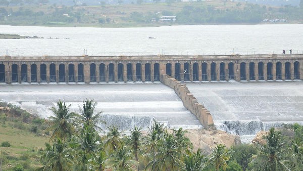 ಚಿರತೆಯ ಹೆಜ್ಜೆ ಗುರುತುಗಳ ಪರಿಶೀಲನೆ