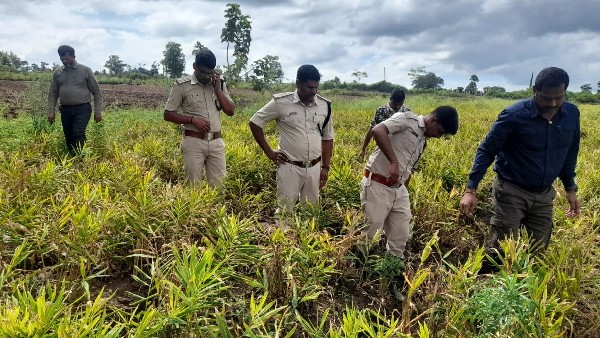 ಅರಣ್ಯ ಇಲಾಖೆಗೆ ಸವಾಲಾದ ಚಿರತೆ ಸೆರೆ