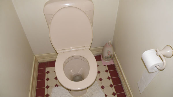 20 percent of schools in Telangana do not have toilets for girls - report 20 percent of schools in Telangana do not have toilets for girls - report