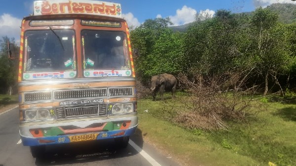 Chamarajanagar: Lorry driver fined 75 thousand for giving sugarcane to elephant Chamarajanagar: Lorry driver fined 75 thousand for giving sugarcane to elephant