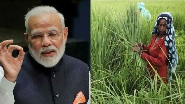 ರೈತರು ತಮ್ಮ ಸ್ಟೇಟಸ್ ಪರಿಶೀಲನೆ ಮಾಡುವುದು ಹೇಗೆ?