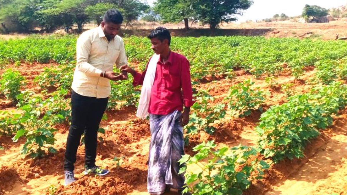 ಹತ್ತಿ ಬೆಳೆಗೆ ವಿವಿಧ ರೋಗಗಳು; ಹತೋಟಿಗೆ ರೈತರಿಗೆ ಸಲಹೆಗಳು How To Protect