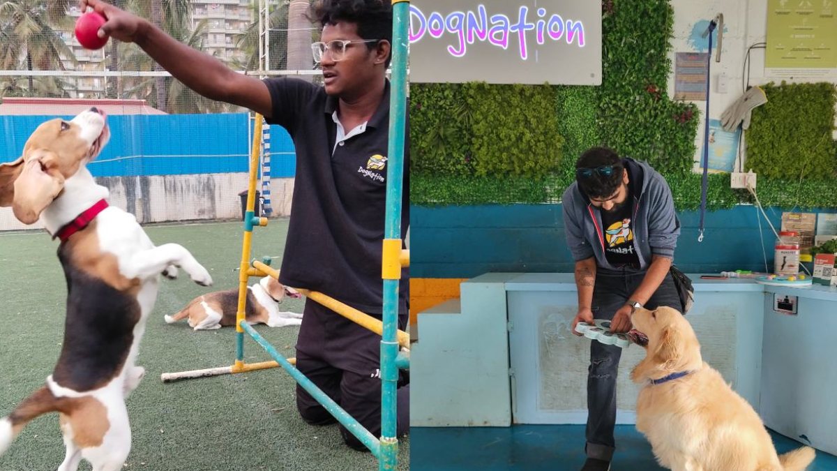 ಸಾಕು ಪ್ರಾಣಿಗಳನ್ನು ಮಾನವೀಯತೆಯಿಂದ, ದತ್ತು ತೆಗೆದುಕೊಳ್ಳುವ, ಆರೋಗ್ಯವಾಗಿ ...