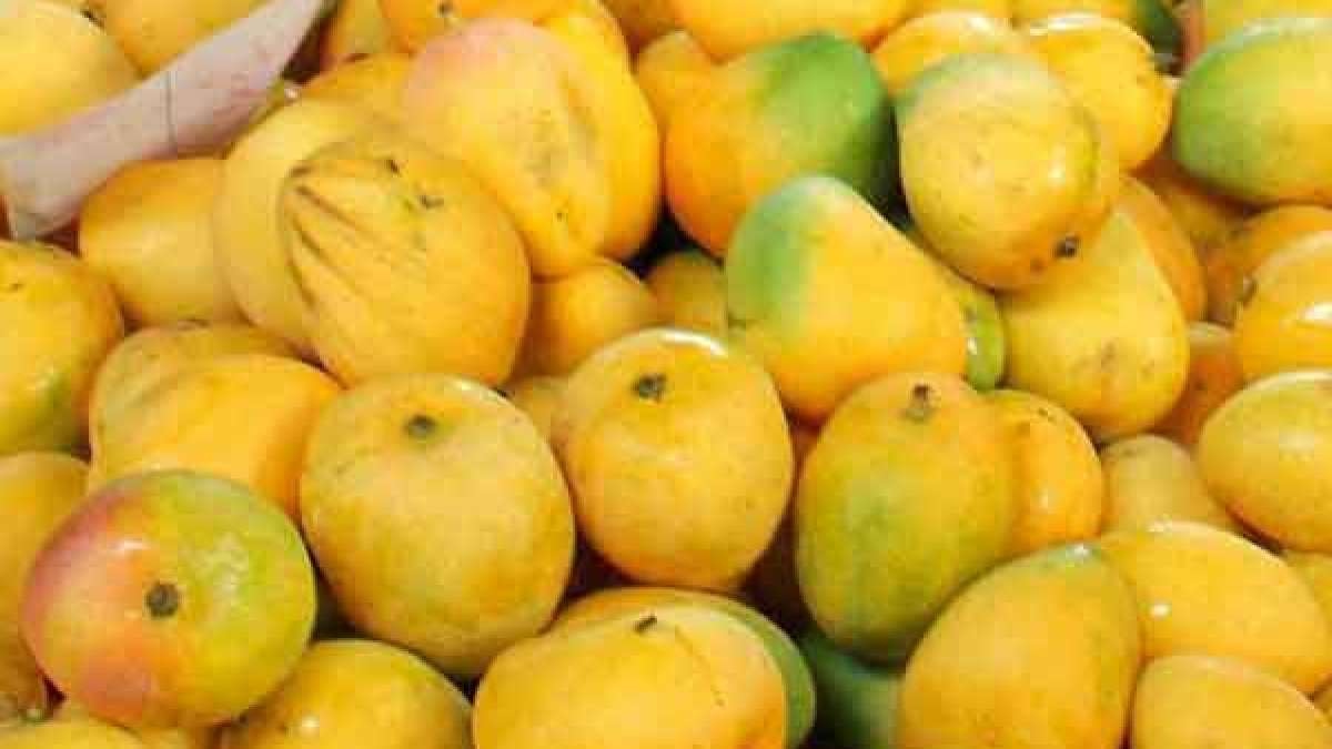 Health Tips ಮಾವಿನಹಣ್ಣು ತಿನ್ನುವಾಗ ಈ 4 ತಪ್ಪುಗಳನ್ನು ಮಾಡಬೇಡಿ