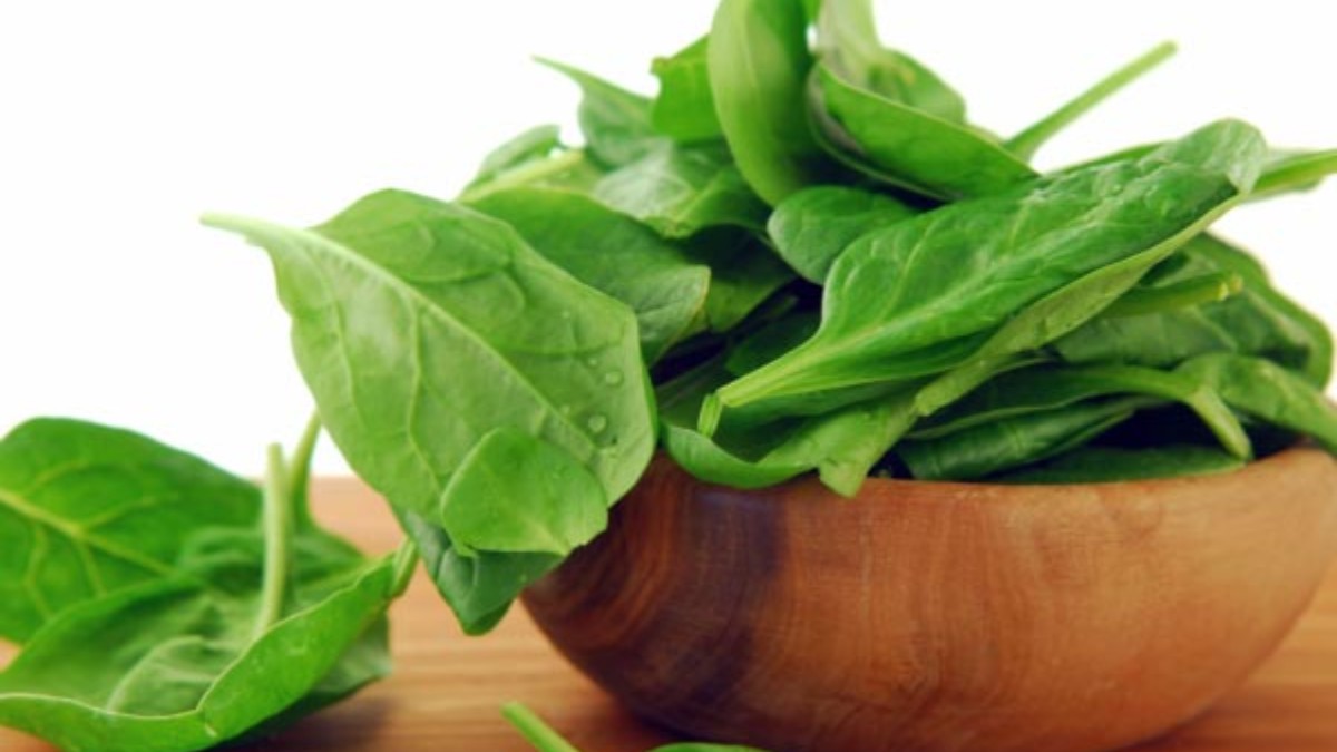 Spinach Leaves ಹಲವು ರೋಗಕ್ಕೆ ಪಾಲಕ್ ಸೊಪ್ಪು ಮದ್ದು, ಇದರ ಪ್ರಯೋಜನಗಳು Palak