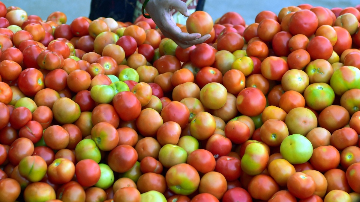100ರ ಹೊಸ್ತಿಲಲ್ಲಿ ಟೊಮೆಟೊ, ಉಳಿದ ತರಕಾರಿಗಳು ದುಬಾರಿ! Rain Shortage Leads