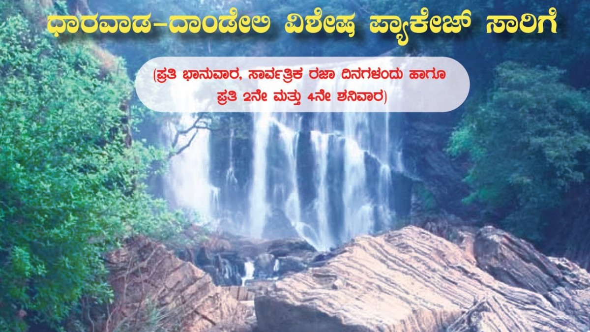 olx dandeli bikes