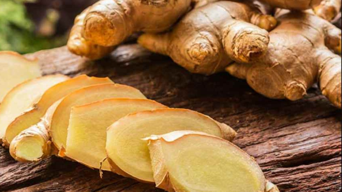 Ginger Benefits ಮಳೆಗಾಲದಲ್ಲಿ ಸೇವಿಸಿದರೆ ಶುಂಠಿ ತೂಕ ಇಳಿಸಲು ನೀವಾಗಲ್ಲ ಒಂಟಿ.. Here are the health