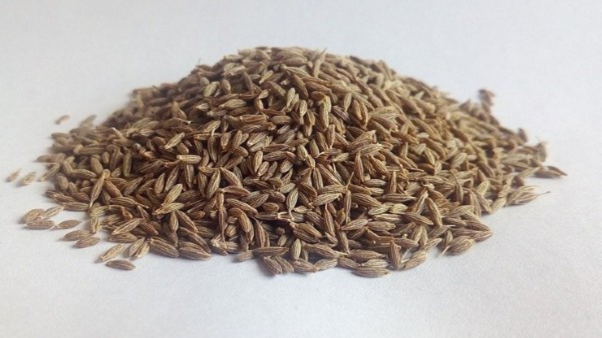 Cumin Seeds Benefits ಅಬ್ಬಾಬ್ಬ ಜೀರಿಗೆ ಸೇವಿಸುವುದರಿಂದ ಆಗುವ ಪ್ರಯೋಜನಗಳು